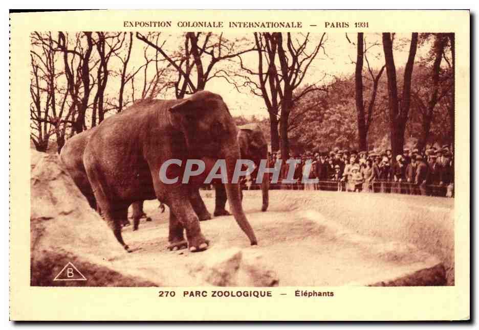 CPA Exposition Coloniale Internationale Paris Parc Zoologique Elephants Zoo