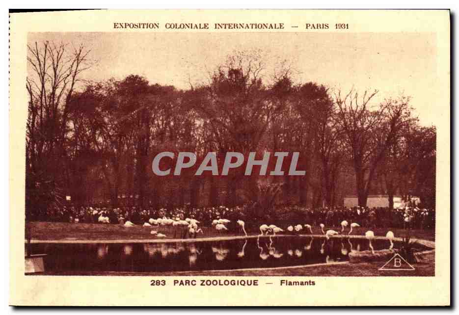 Parc Zoologique — Flamants — Exposition Coloniale Internationale — Paris 1931