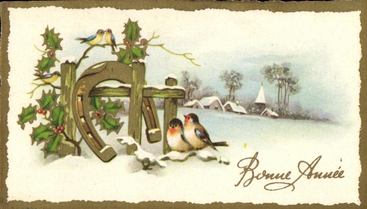 CPA Bonne Annee Oiseaux