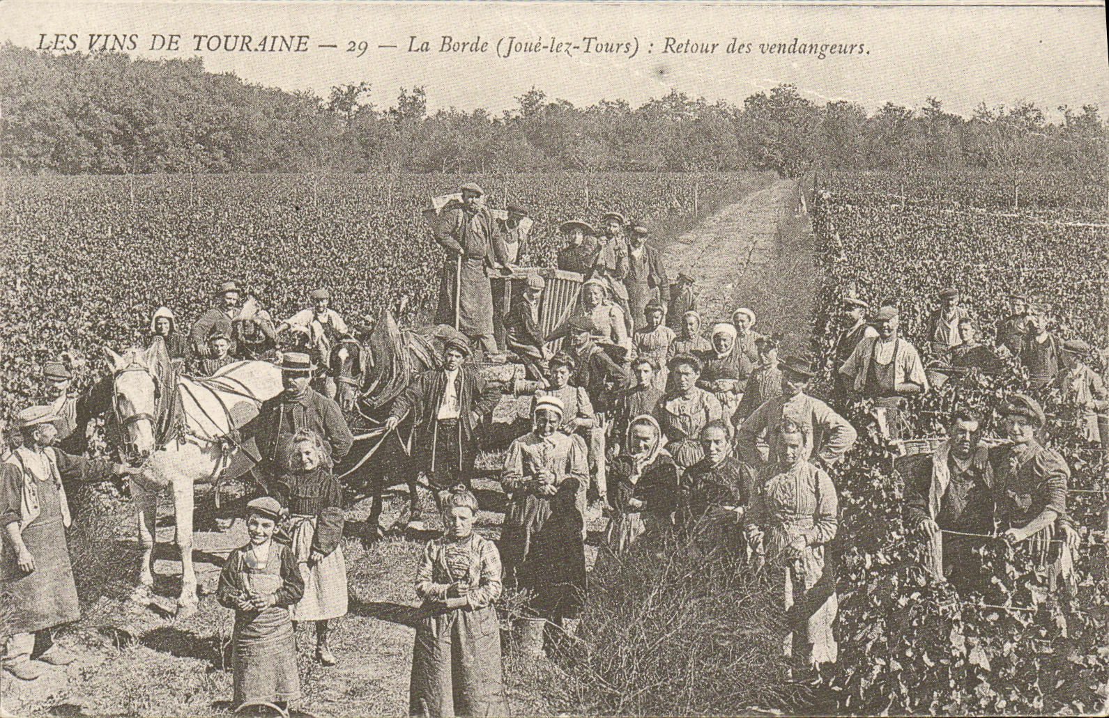REPRO Les Vins De Touraine La Borde Retour des Vendangeurs