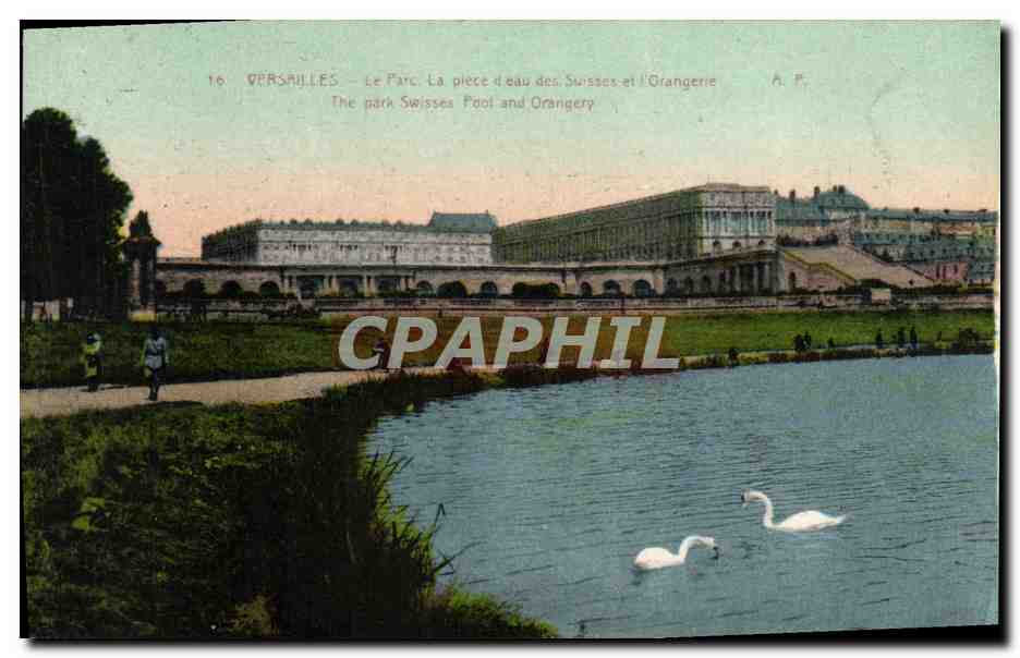 CPA Versailles Le Parc La piece d eau des Suisses et l Orangerie Cygnes