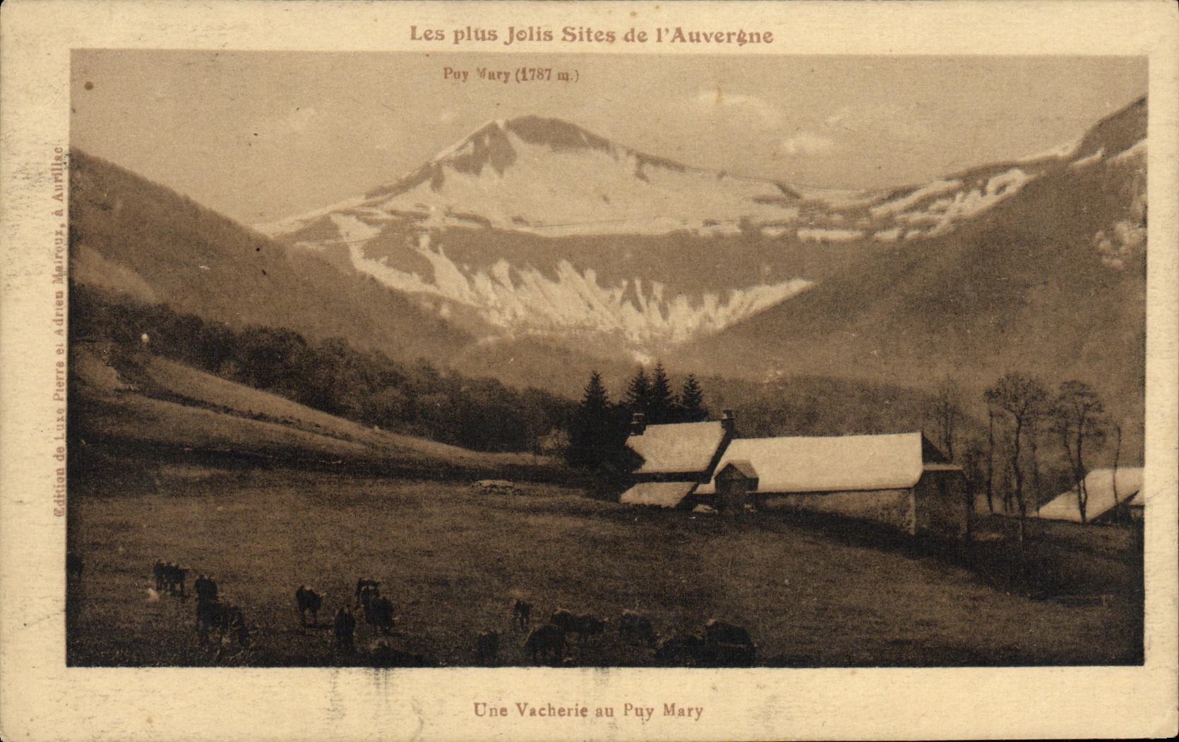 CPA Les Plus Jolis Sites de l Auvergne Une vacherie au Puy Mary 