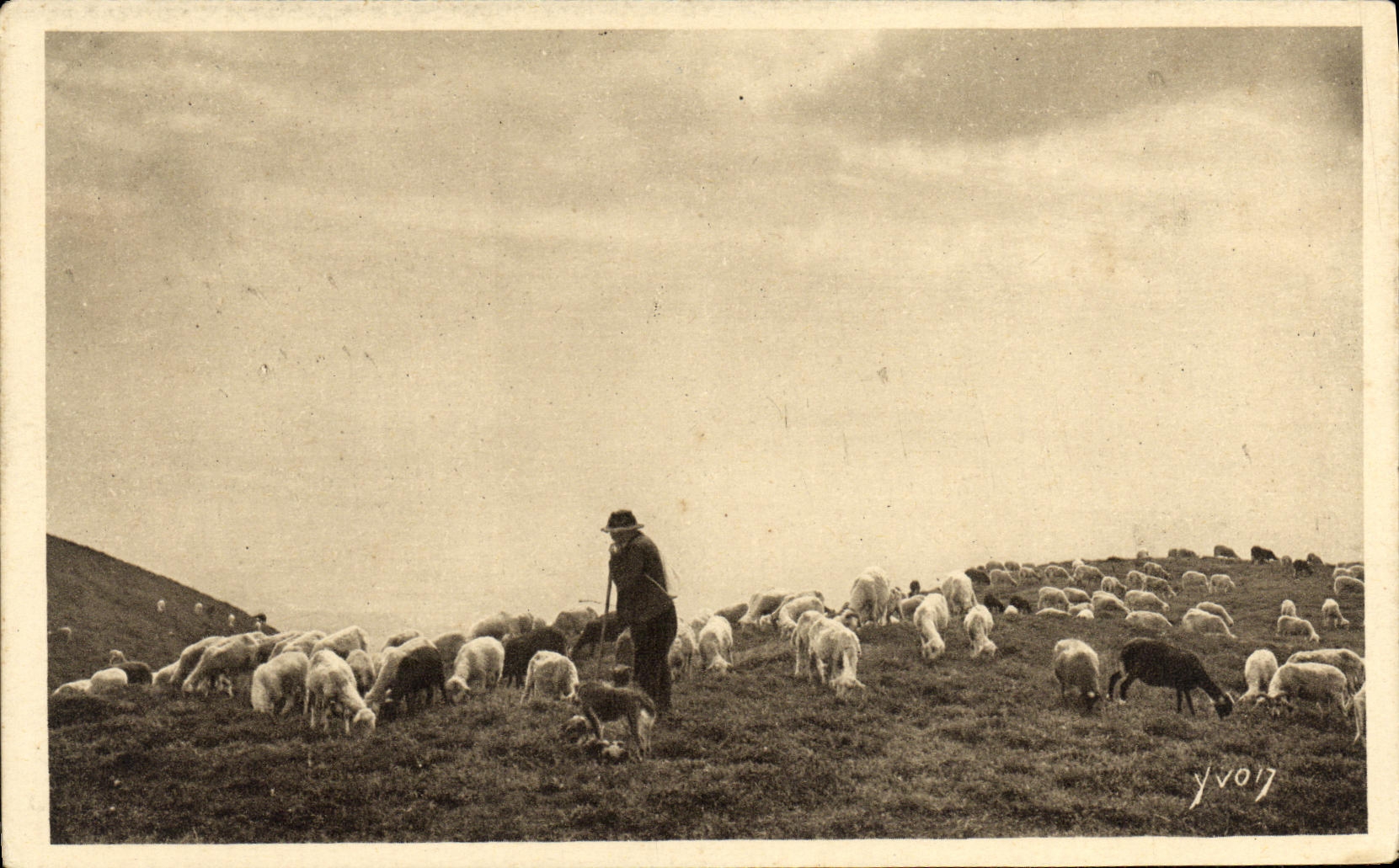 CPA Les Pyrenees Paturage Berger et moutons