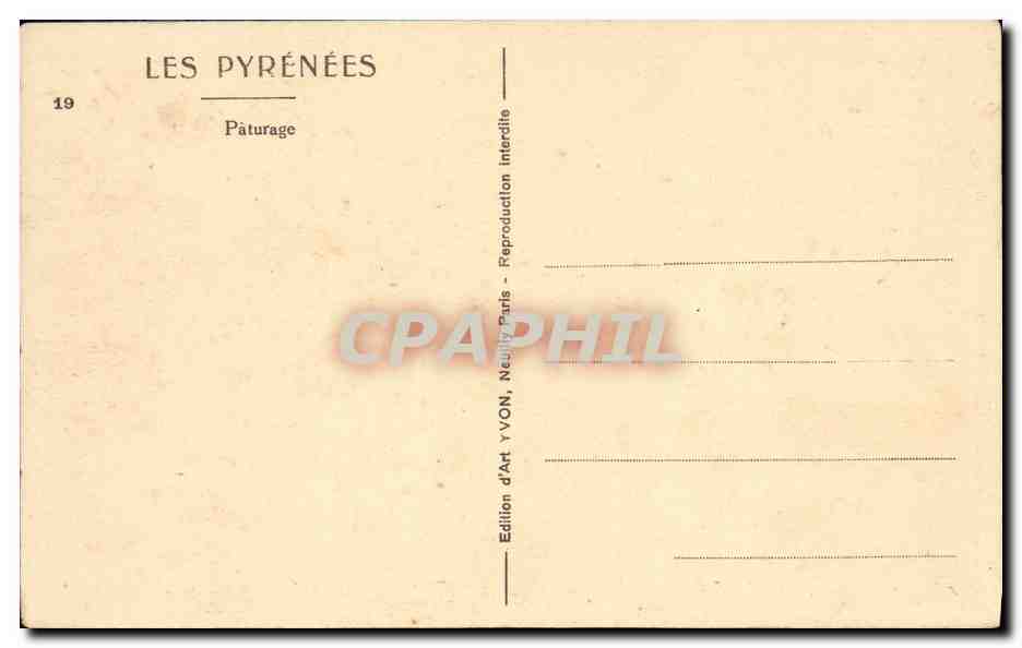 CPA Les Pyrenees Paturage Berger et moutons — Rückseite