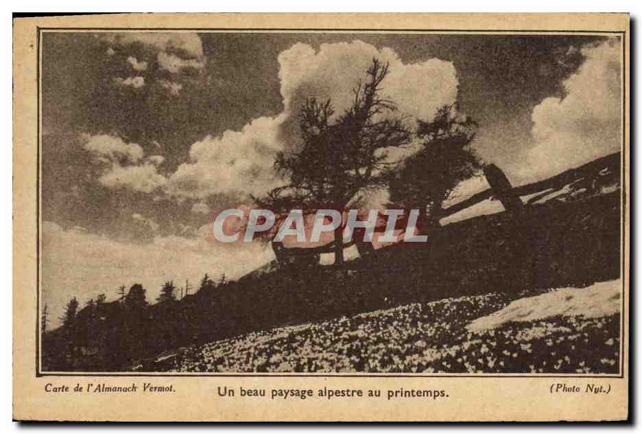 CPA Un beau Paysage alpestre au printemps