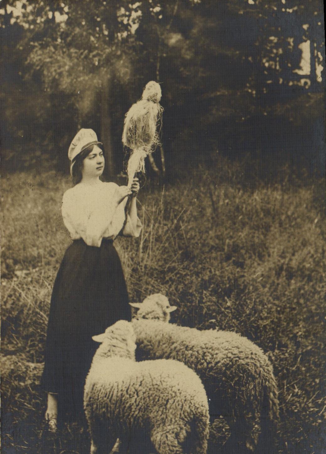 Jeune femme avec moutons — scène pastorale — éditeur inconnu