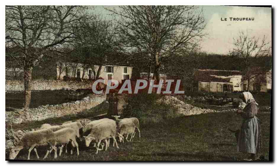 CPA Le Troupeau Paysans Folklore Berger Moutons 