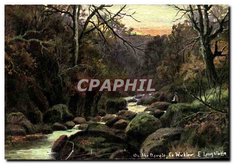 CPA Co Wicklow On the Dargle Irlande