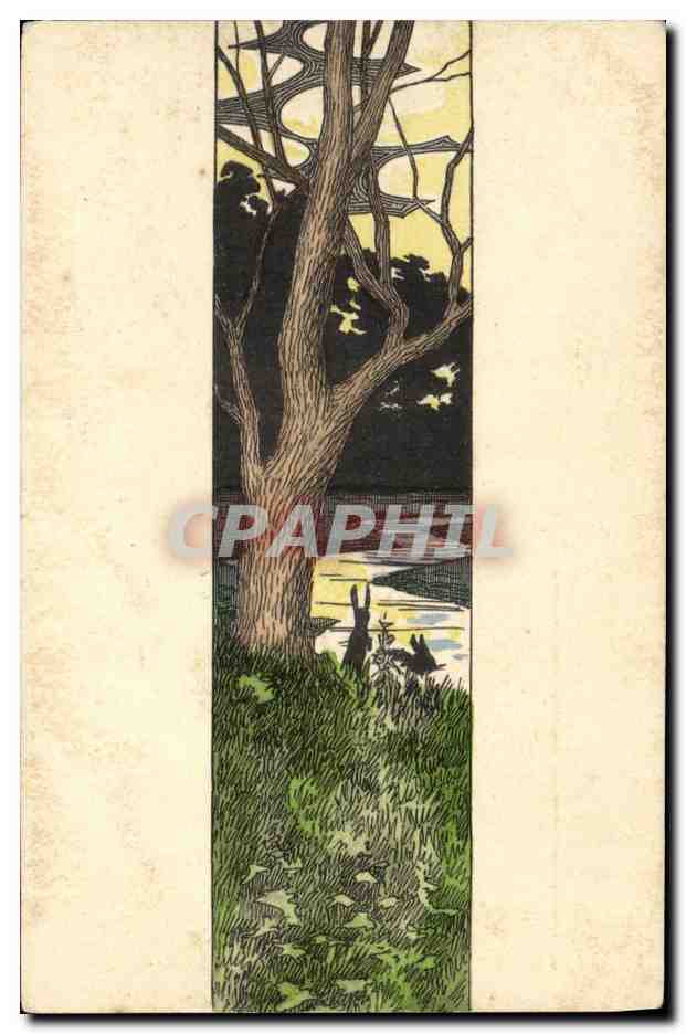 CPA Paysage Sous bois Lapins