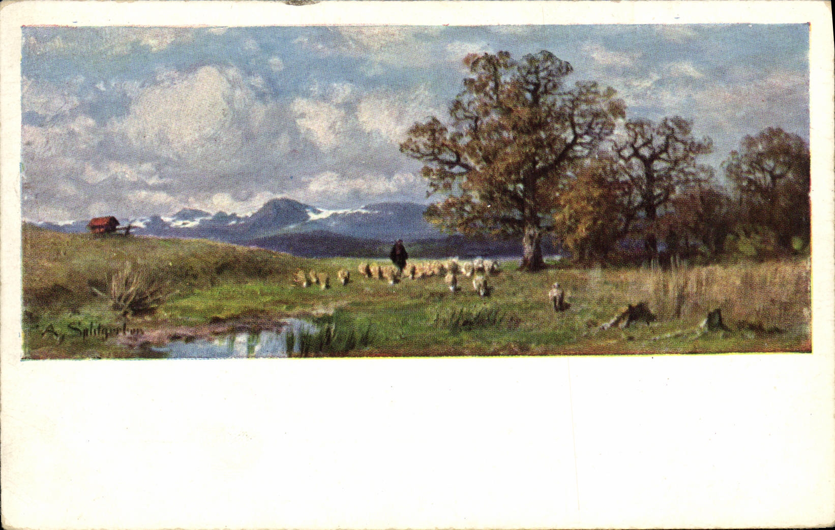 CPA Paysage Moutons Berger
