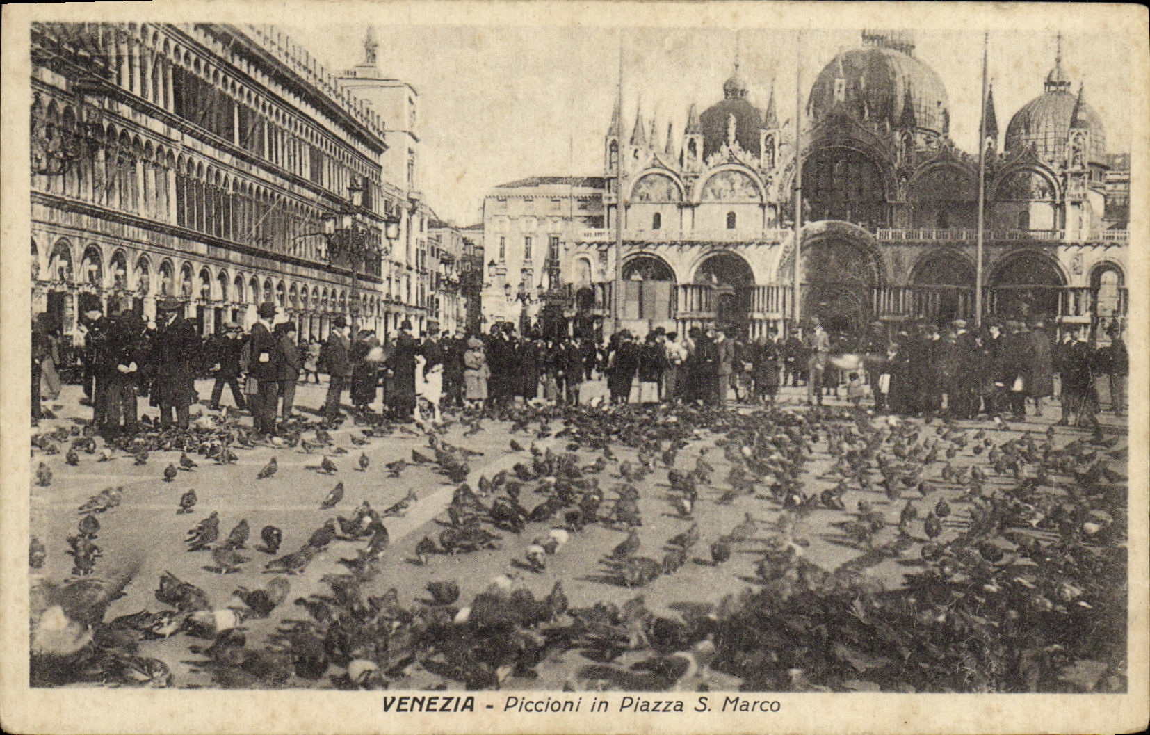 CPA Venezia Piccioni in Piazza di S Marco