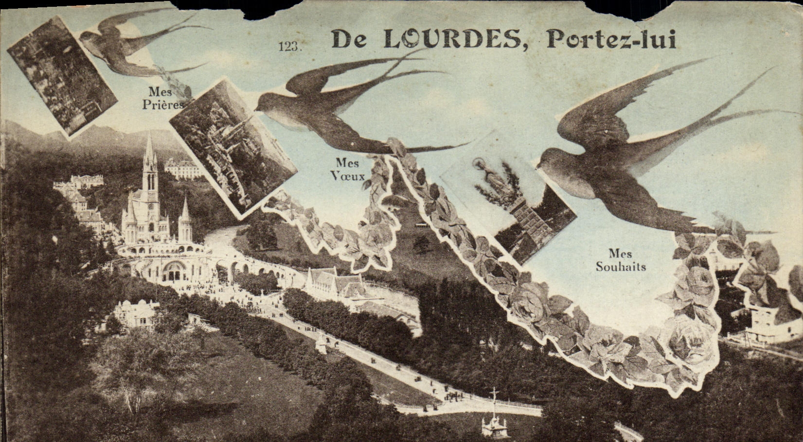 CPA De Lourdes Portez Lui Hirondelles 