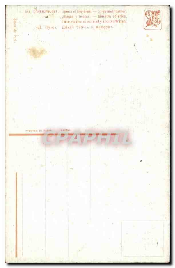 CPA Paysage Didier Pouget Ajoncs et bruyeres  — Verso