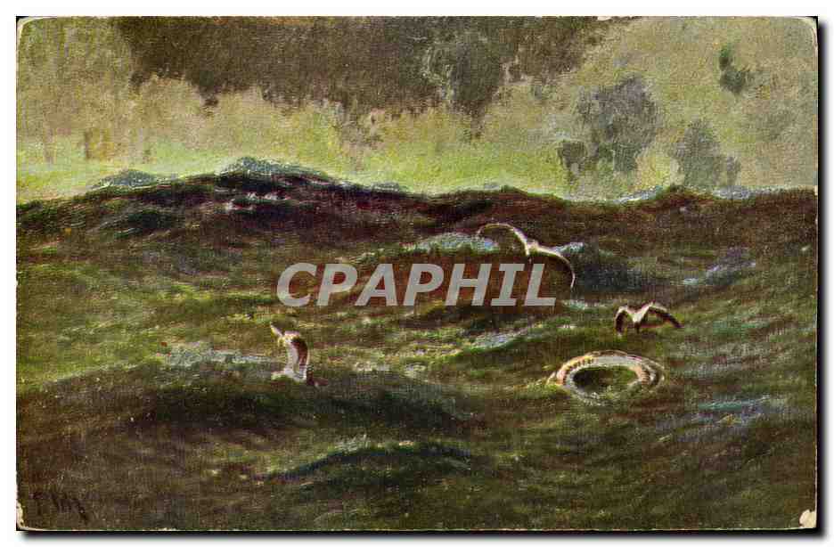 CPA Mouettes dans la mer 