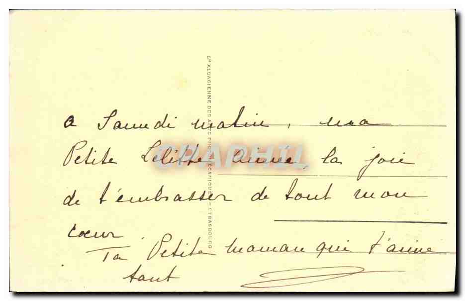 CPA Versailles Grandes Eaux Le Bassin de Neptune — Verso