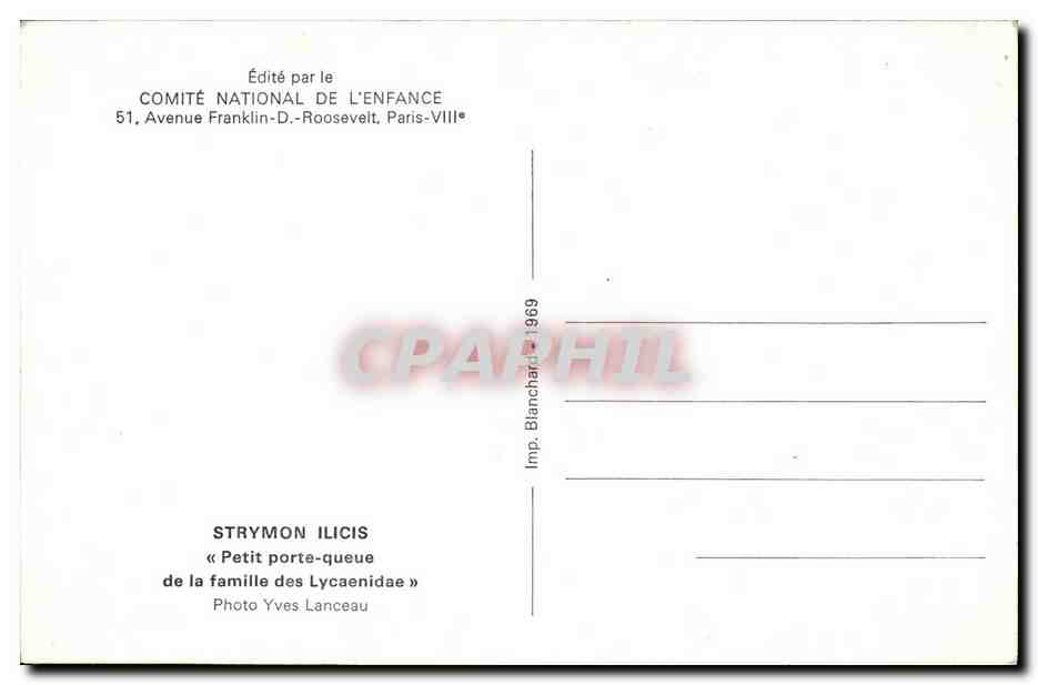 CPM Papillon Strymon Ilicis Petit porte queue de la famille des Lycaenidae — Rückseite