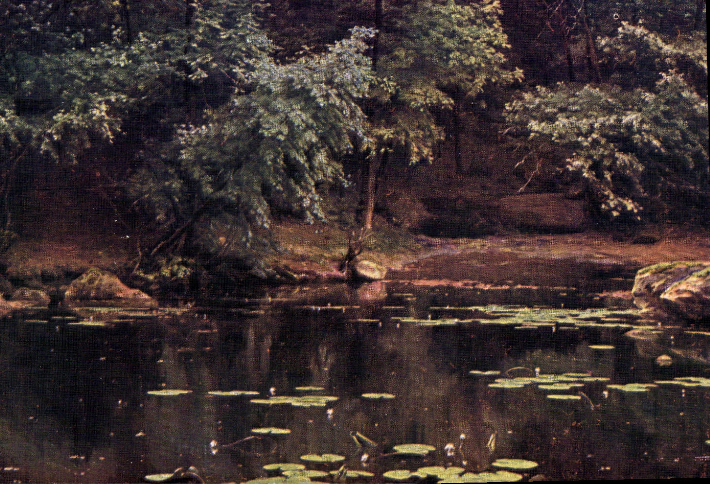 CPA Rene Hiss Les nymphes