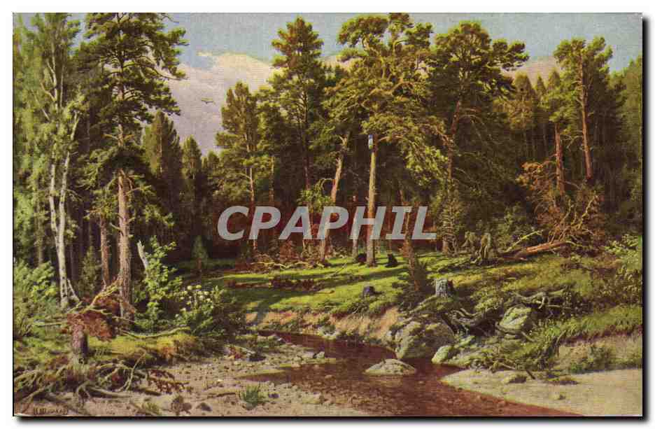 CPA Chichkine Le bois de pins