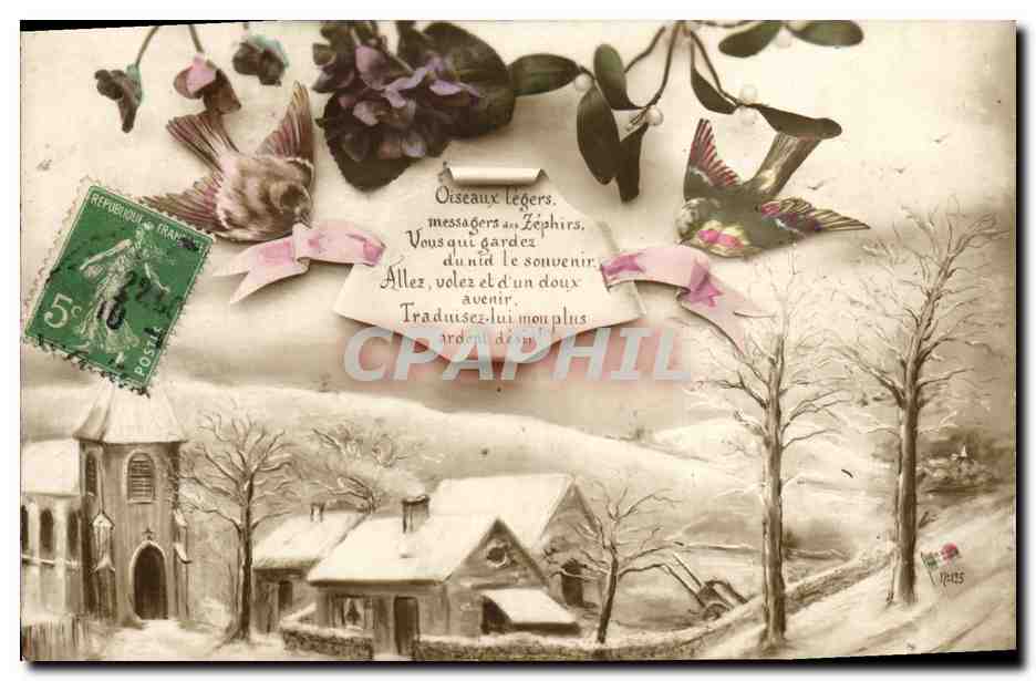 CPA Fantaisie oiseaux legers