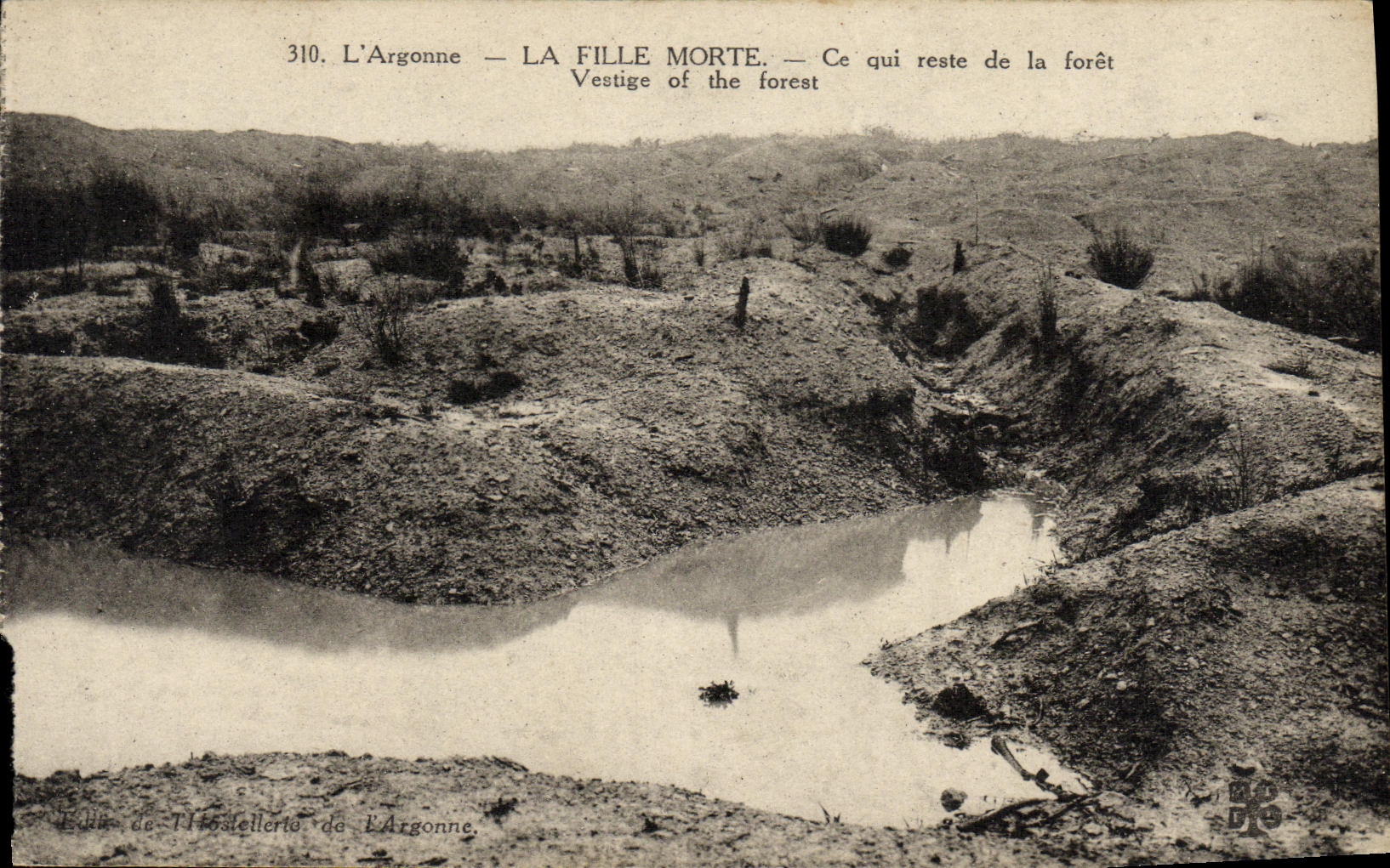 L'Argonne — LA FILLE MORTE. — Ce qui reste de la forêt