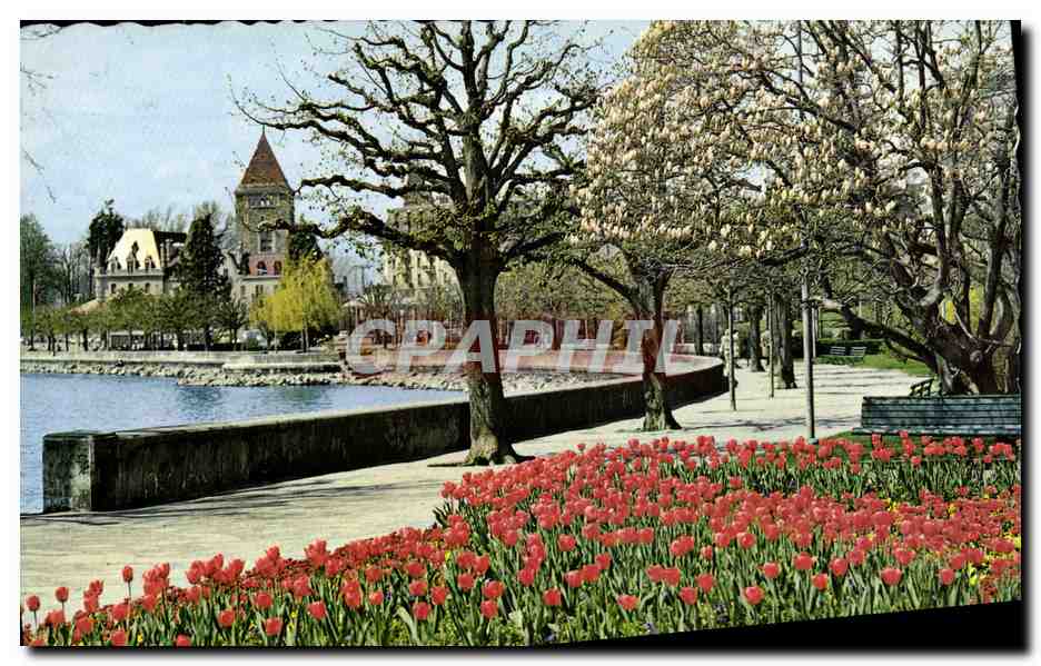 CPM Lausanne Ouchy Le Chateau et les Quais Fleuris