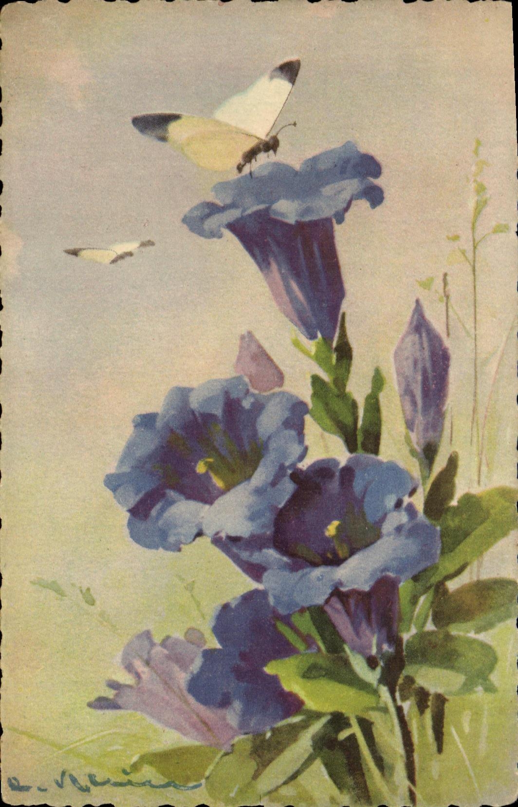 CPA Fantaisie Fleurs Papillons 
