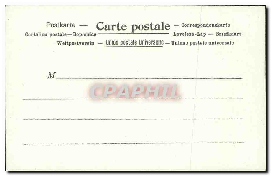 CPA La poste aux Etats Unis d Amerique Chiens  — Rückseite