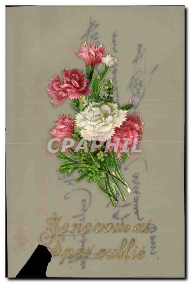 CPA Fantaisie Fleurs 