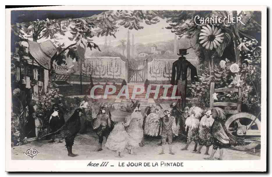 CPA Fantaisie Chantecler Le jour de la pintade Poules