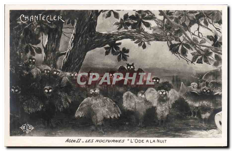 CPA Fantaisie Chantecler Les nocturnes L ode a la nuit Couetets Hiboux