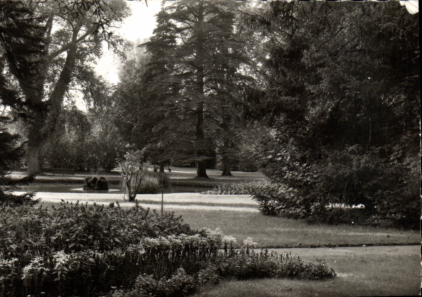 CPM Jardin Durzy