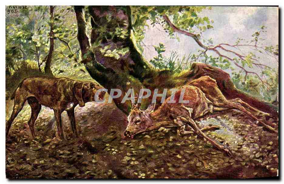 CPA Fantaisie Chasse Chien Biche 