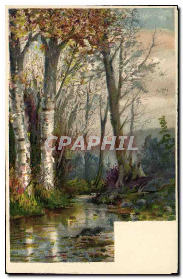 CPA Fantaisie Paysage de sous bois