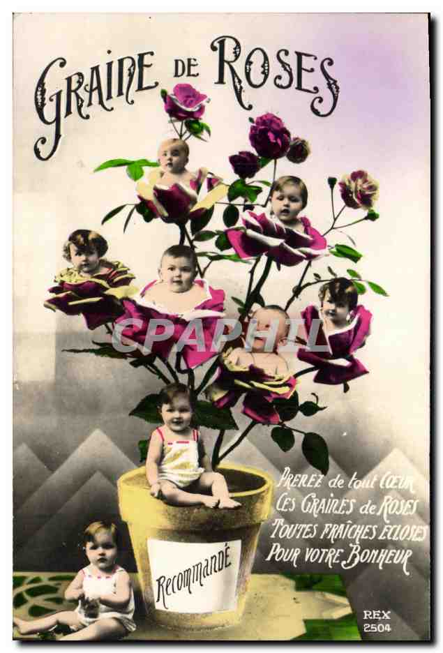 CPA Graine de roses Bebes Enfants