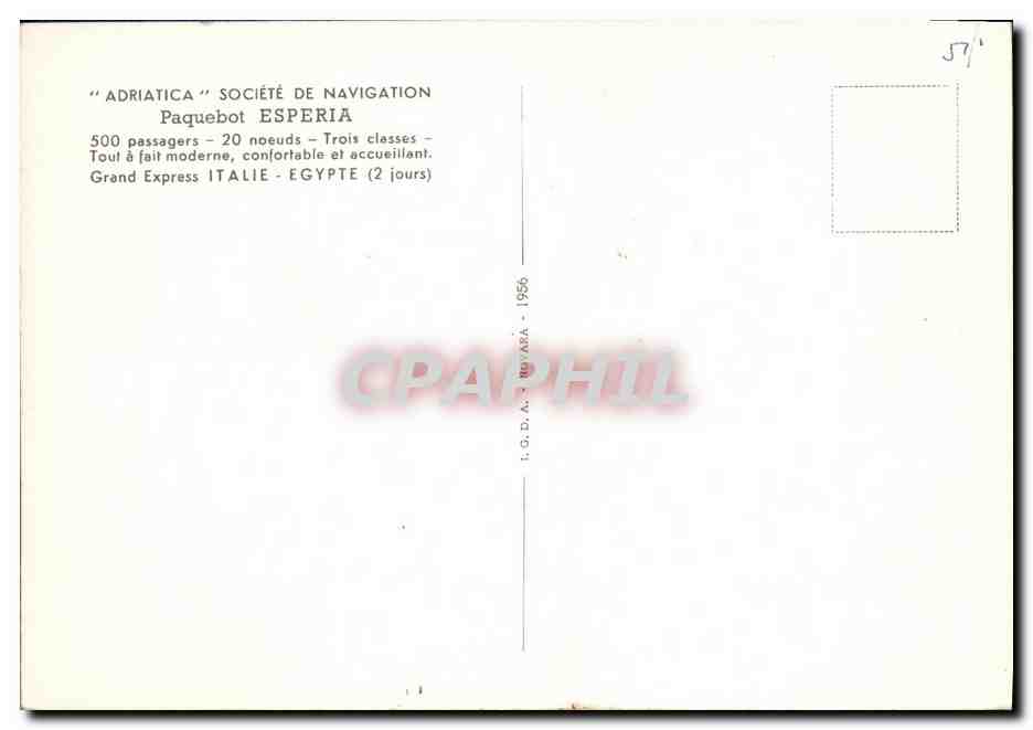 CPM Adriatica Societe de Navigation Paquebot Esperia Grand Express Italie Egypte  — Back