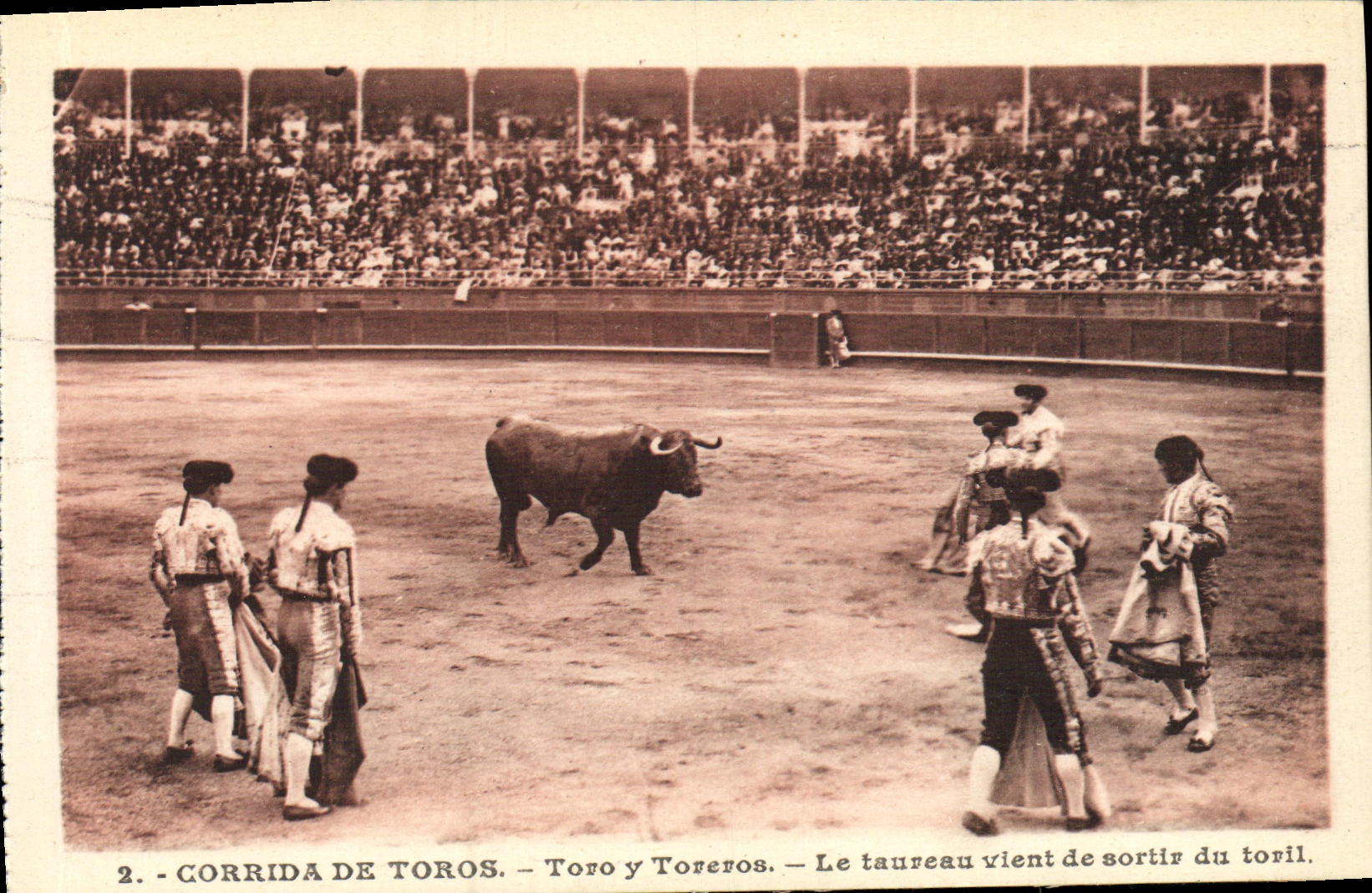 CPA Sport Espagne Corrida Toro Taureau Le taureau vient de sortir du toril