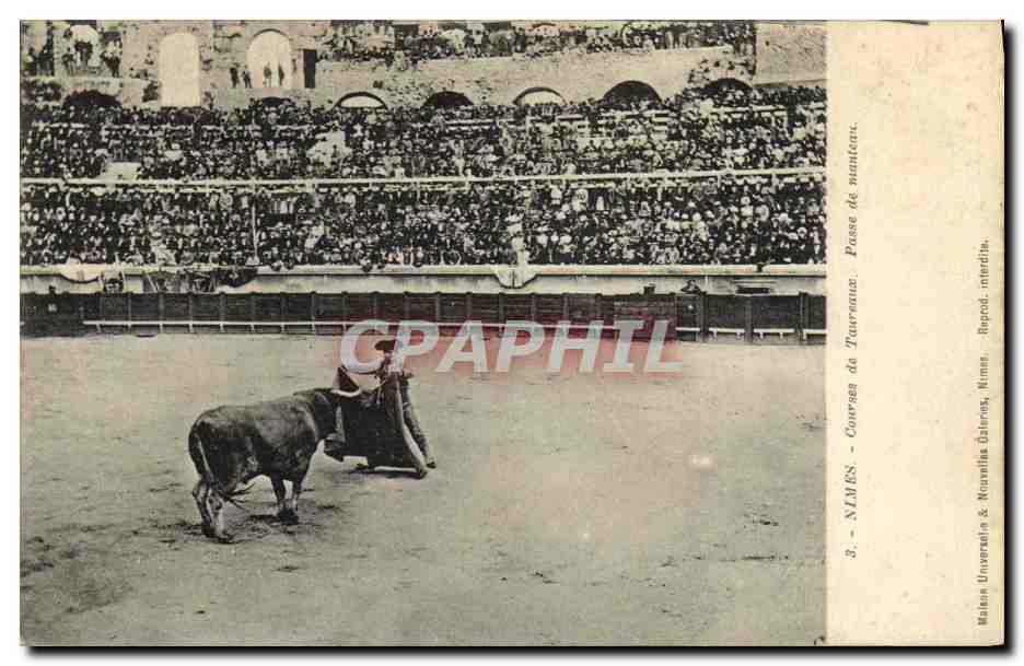 Corrèze - Courses de taureaux - Passe de taureau - Matien Université & Nouvelles Gaiteres, Nîmes