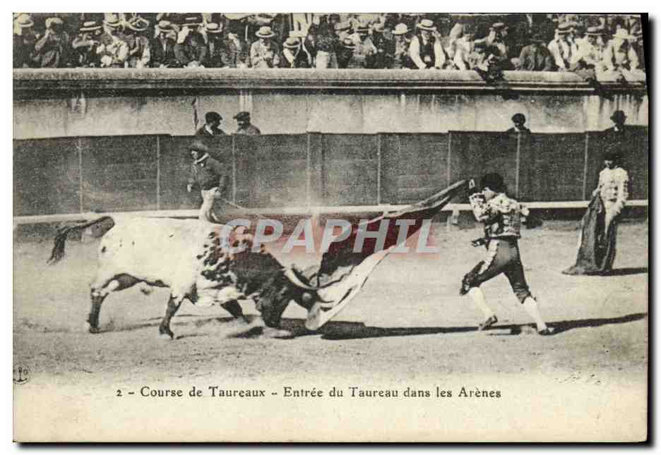Entrée du Taureau dans les Arènes — Course de Taureaux — Éditeur : CPAPHIL, n°2