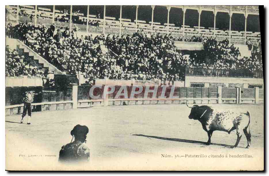 Pataterillo citando á banderillas — Madrid — Fot. Lain — Núm. 50