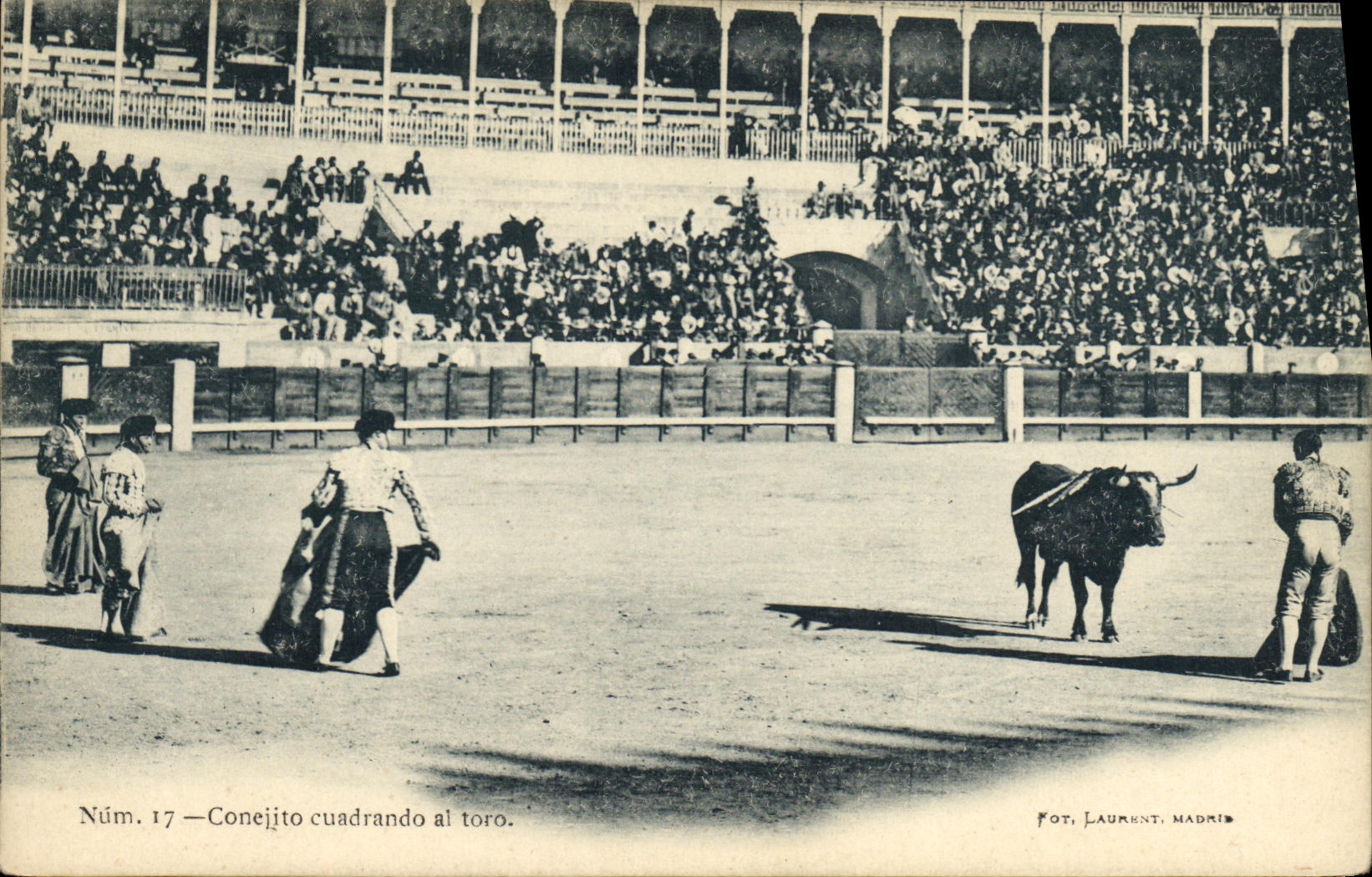 Conejito cuadrando al toro — Núm. 17 — Fot. Laurent, Madrid