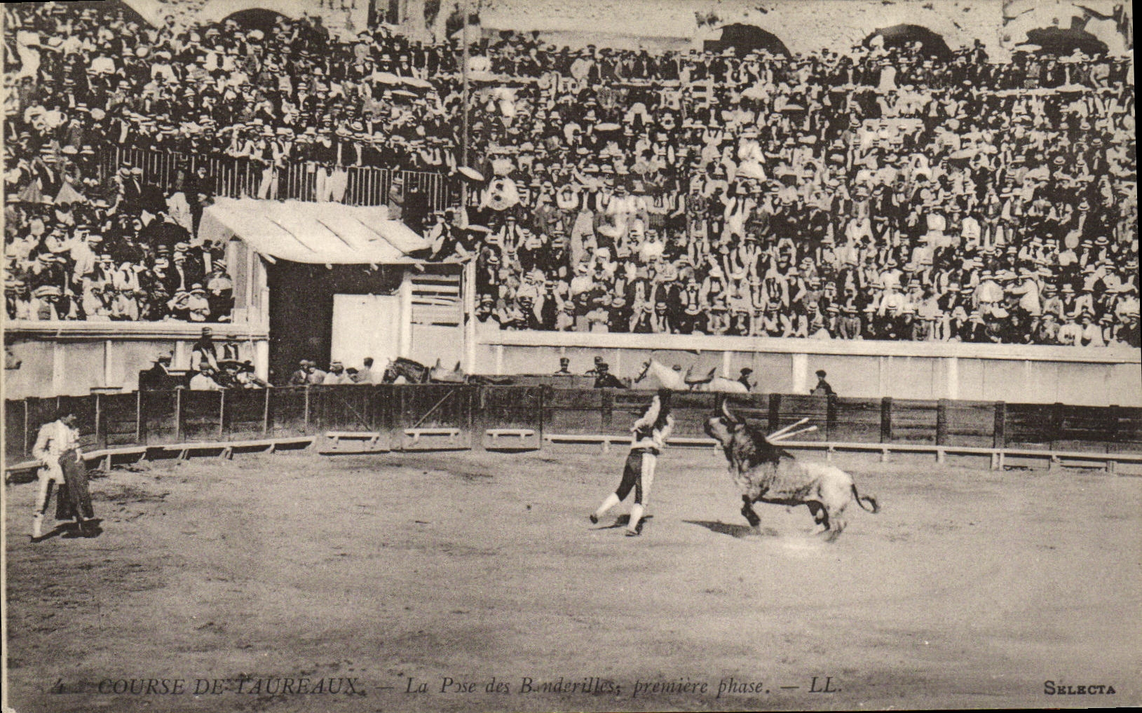 Course de Taureaux — La Pose des Banderilles, première phase — LL — Sélecta