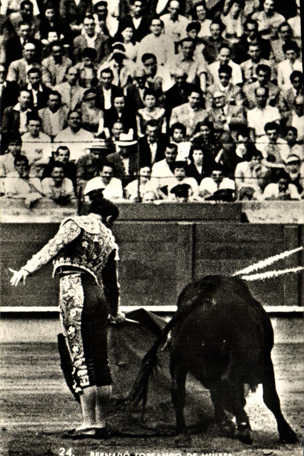 CPM Sport Espagne Corrida Toro Taureau Bernado Toreando de Muleta