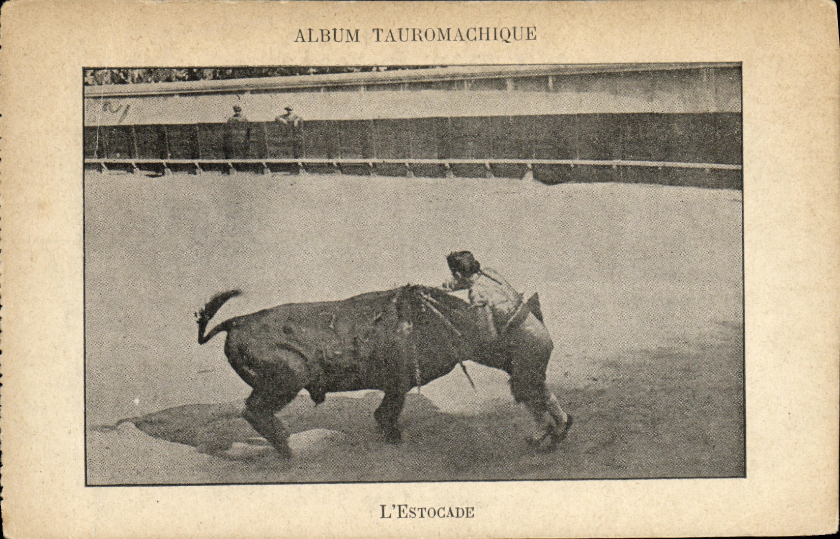 CPA Sport Espagne Corrida Toro Taureau Album Tauromachique L estocade