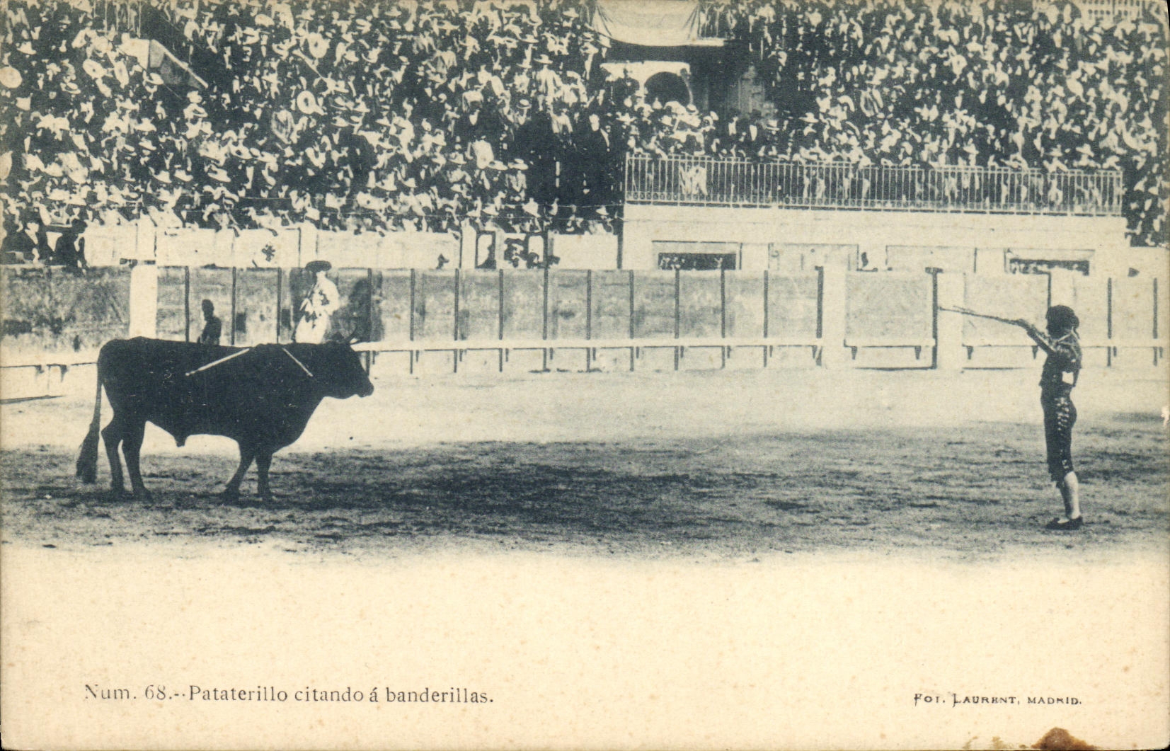 CPA Sport Espagne Corrida Toro Taureau Pataterillo citando a banderillas
