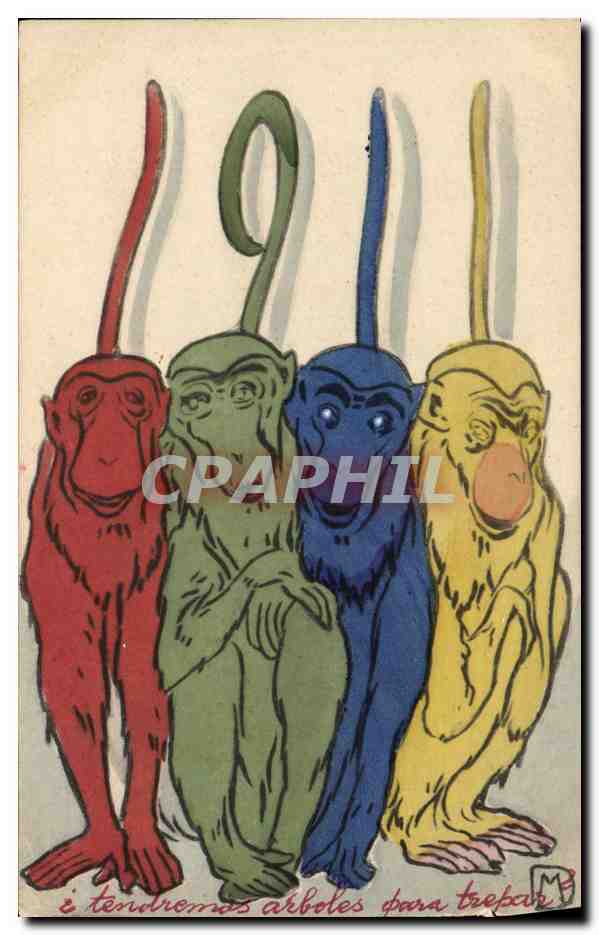 CPA Singes