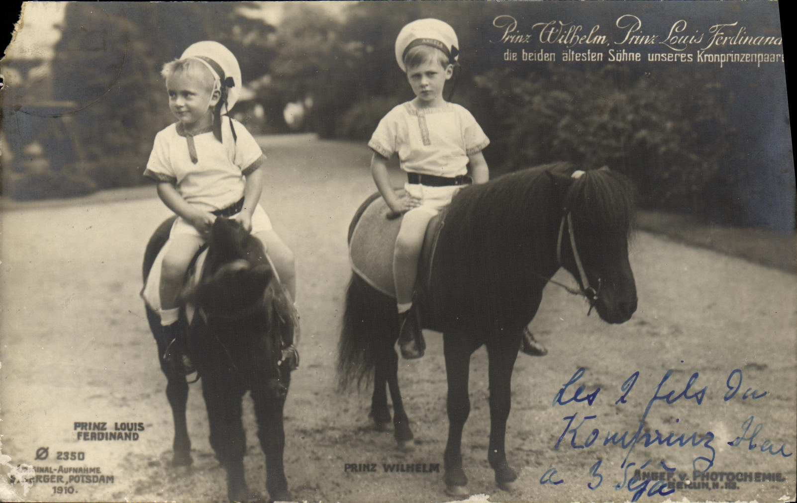 CPA Prinz Wilhelm Prinz Louis Ferdinand Chevaux poney
