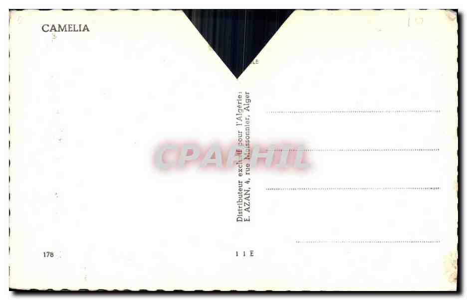 Tarjeta postal moderna Fantasía Mujer Camelio — Reverso