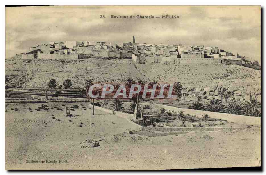 CPA Algerie Environs de Ghardaia Melika 