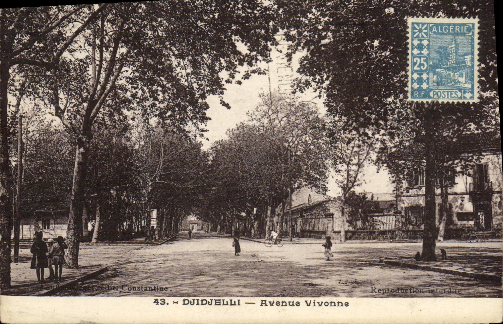 Djidjelli — Avenue Vivonne — éditeur Constantine, n°43