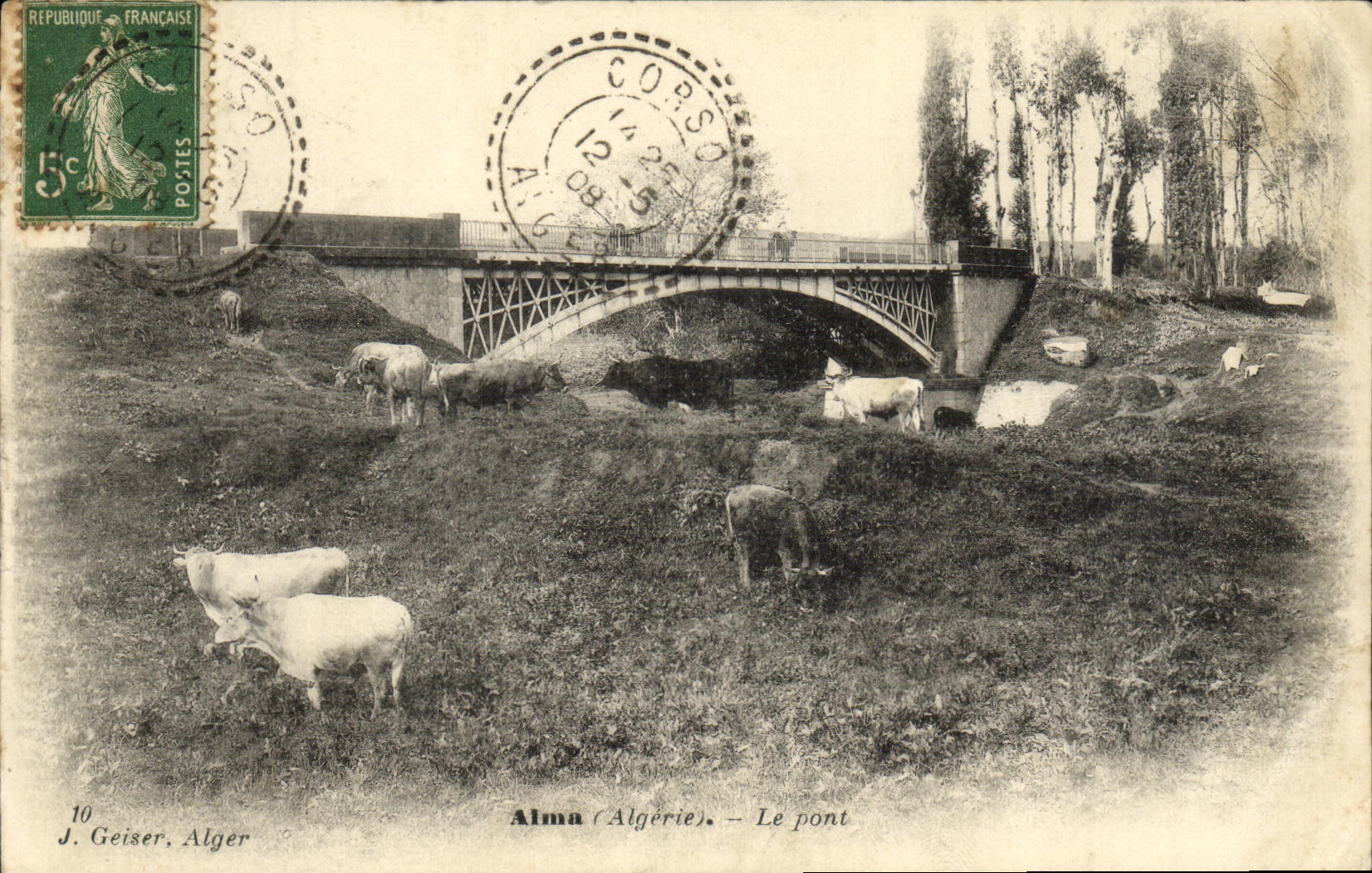 CPA Algerie Alma Le pont Vaches